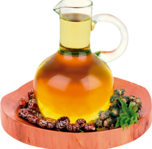 caster oil AR BEAUTY WORLD HANAMKONDA ravalikasolutions.in