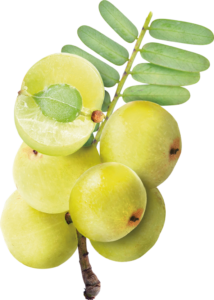amla natural henna color AR BEAUTY WORLD HANAMKONDA ravalikasolutions.in